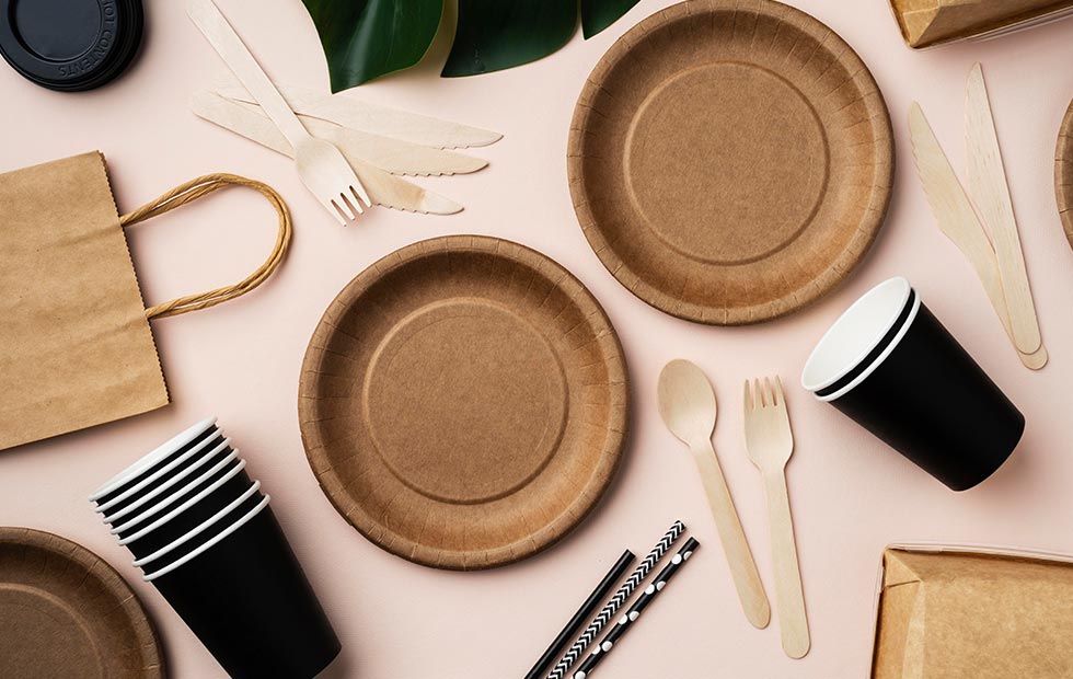 Bagasse vs Plastic Plates