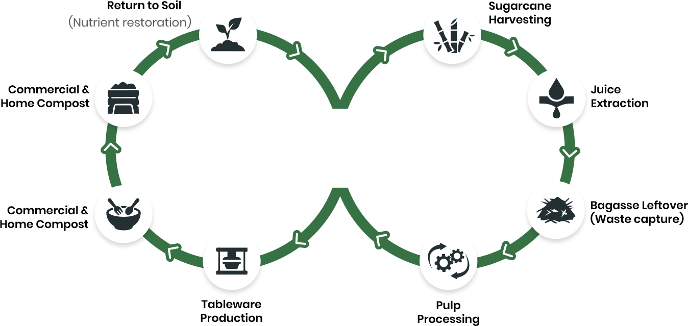 lifecycle image
